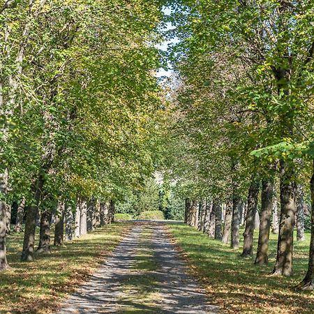Chateau Du Chambon Cerzat Εξωτερικό φωτογραφία